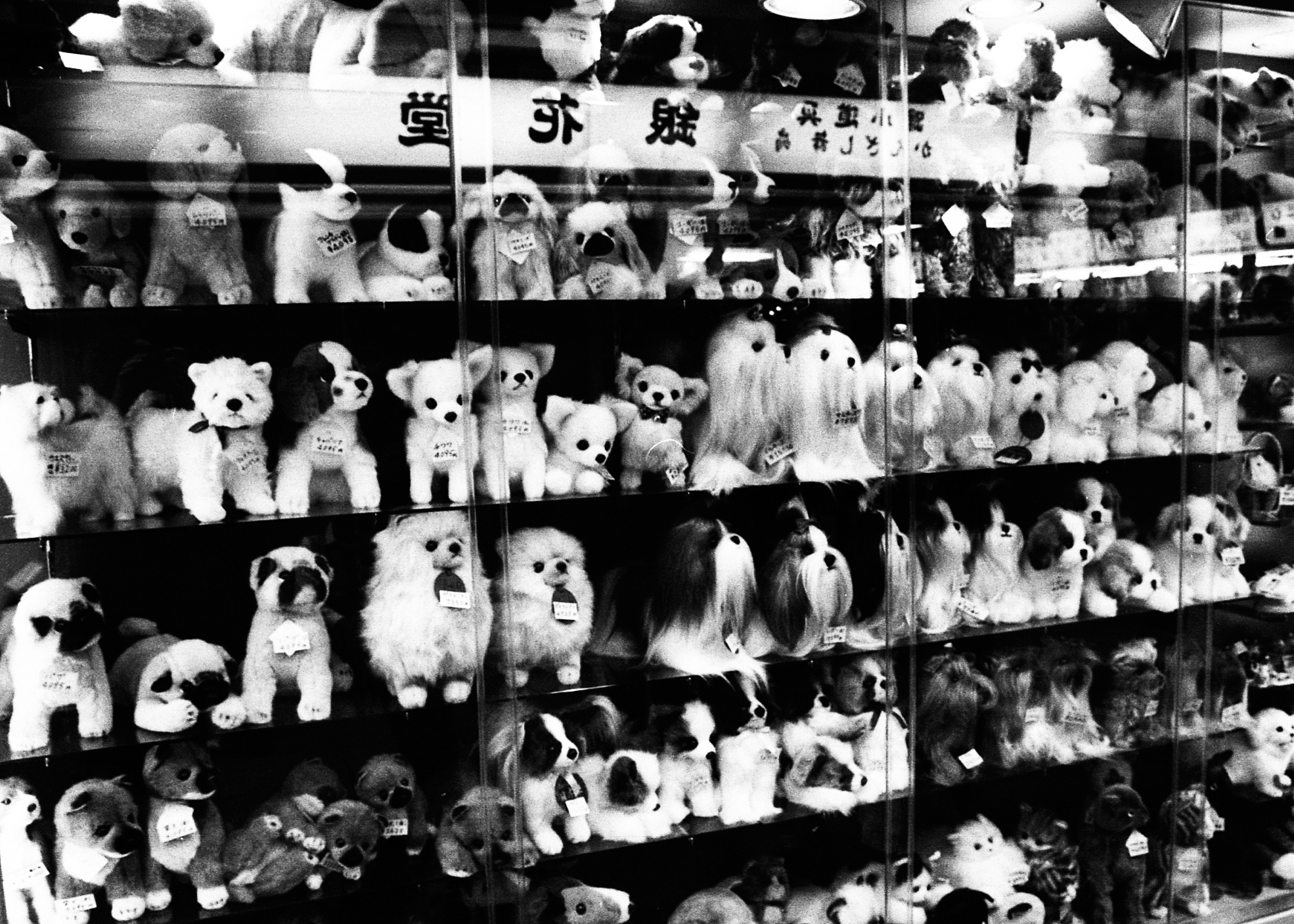 dogs-muppets-shop