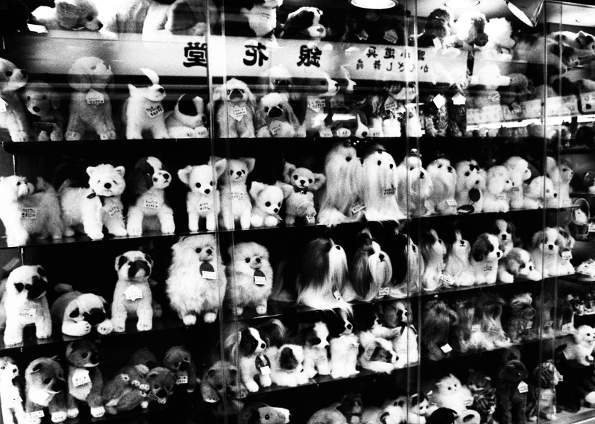 dogs-muppets-shop