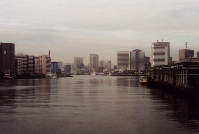 fleuve-marché-poissons