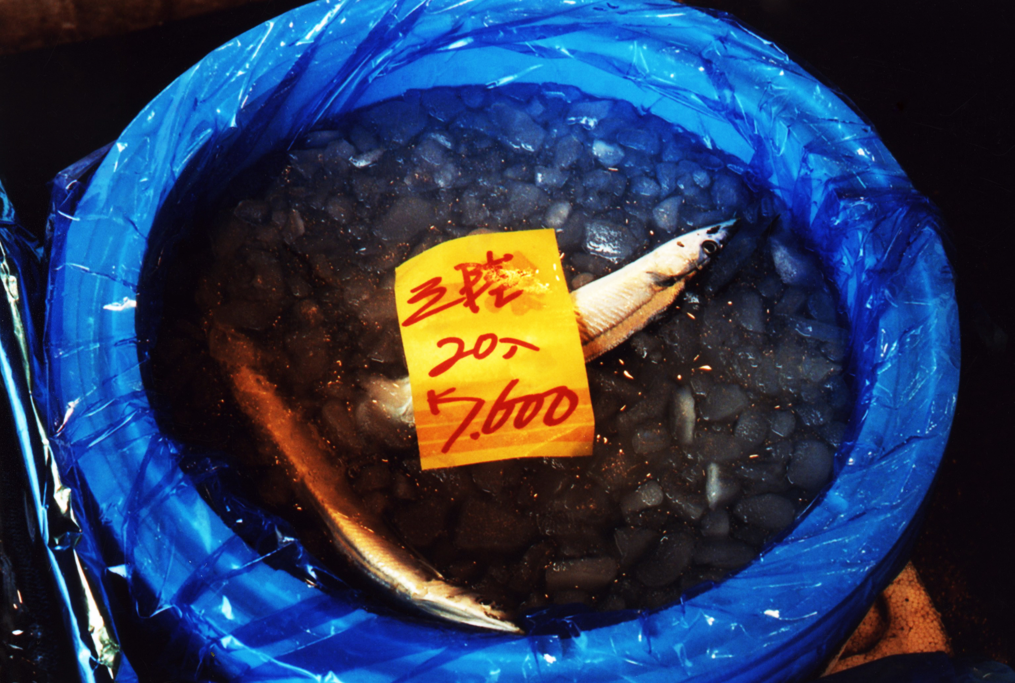 poisson-marché-sceau